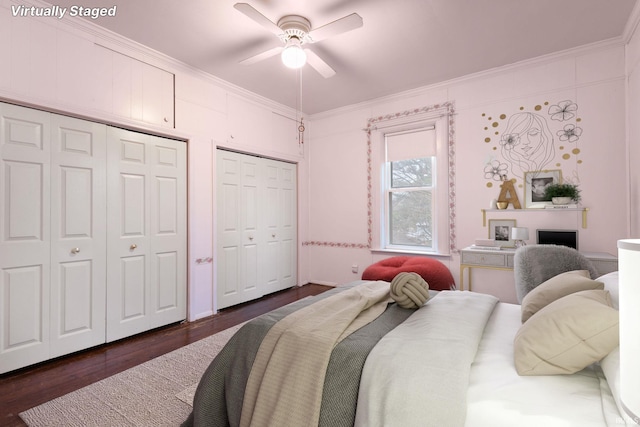 bedroom with ceiling fan, dark hardwood / wood-style flooring, crown molding, and two closets