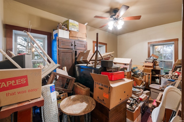 storage room featuring ceiling fan