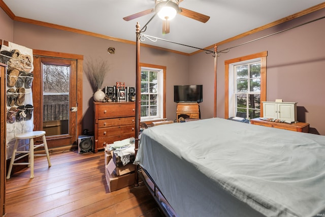 bedroom featuring multiple windows, ceiling fan, wood-type flooring, and ornamental molding