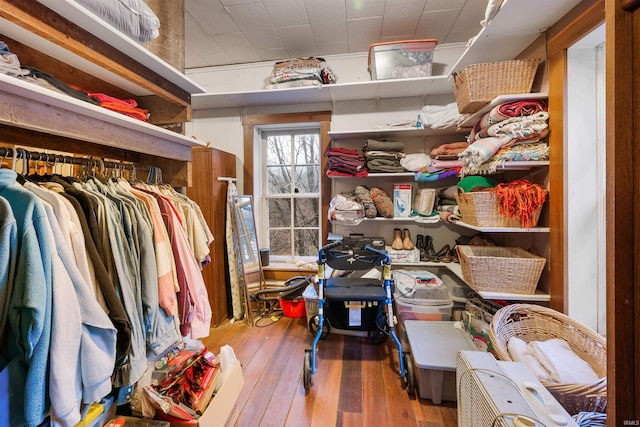 spacious closet with wood-type flooring