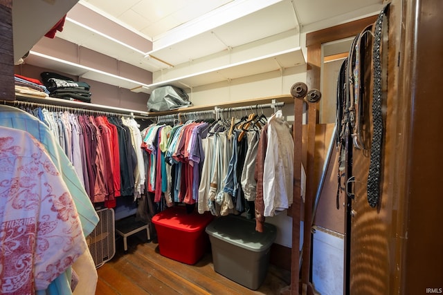 walk in closet featuring wood-type flooring