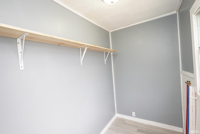 spacious closet featuring light hardwood / wood-style flooring