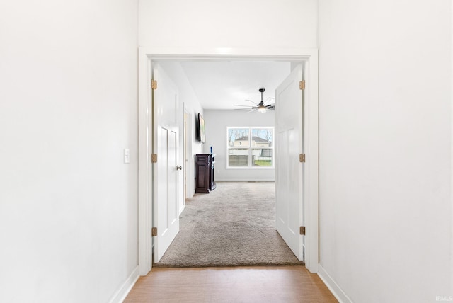 hall with light carpet