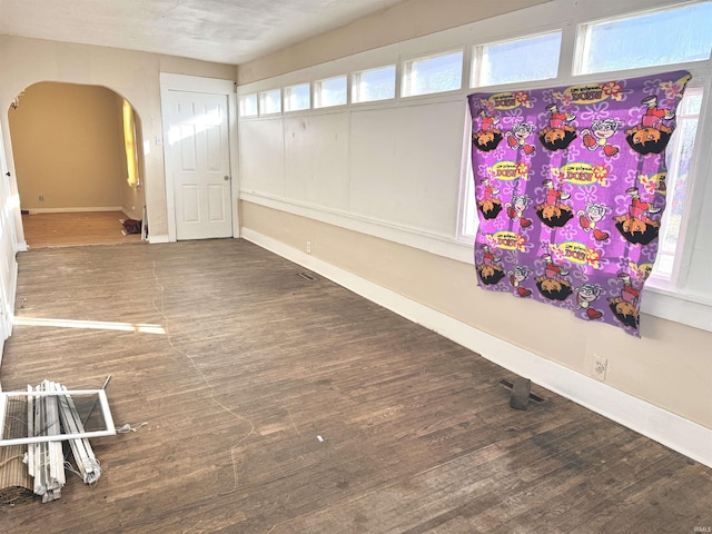 unfurnished room featuring a healthy amount of sunlight and wood-type flooring