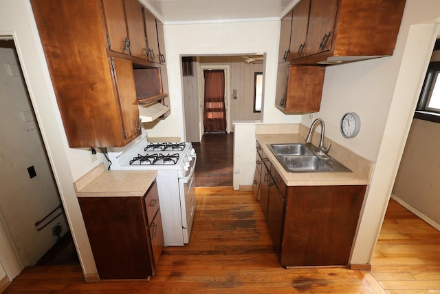 kitchen featuring white gas range, sink, and dark wood-type flooring