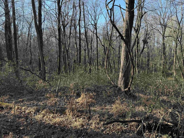 2 E County Road 550 N, Grandview, IN 47615