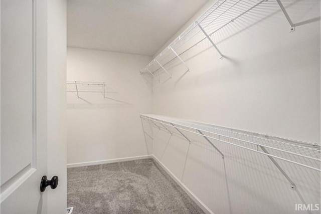 spacious closet featuring carpet floors