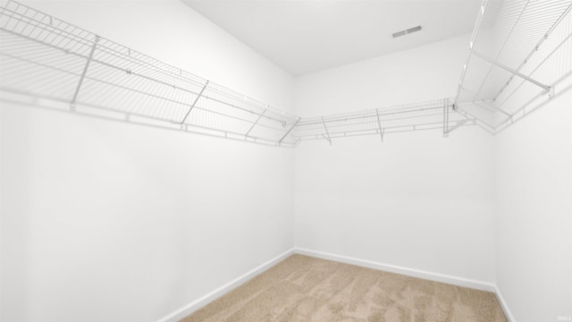 spacious closet featuring carpet floors