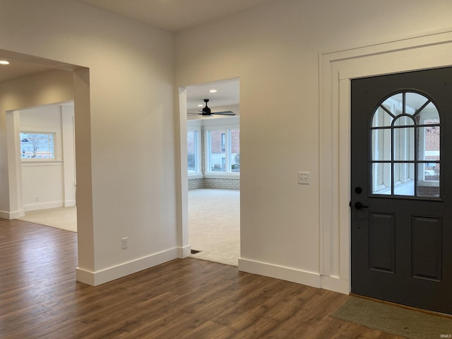 entrance foyer with plenty of natural light and dark wood-type flooring