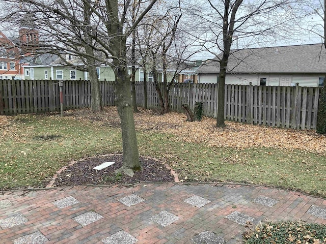 view of yard featuring a patio area