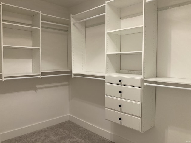 walk in closet featuring carpet floors