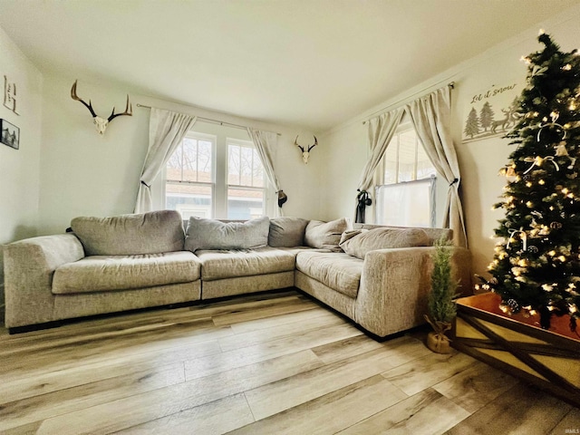 living room with hardwood / wood-style floors