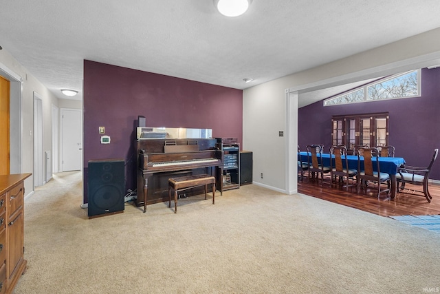 miscellaneous room featuring lofted ceiling, light carpet, and a textured ceiling