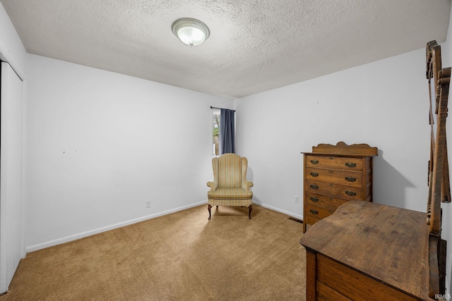 living area with carpet and a textured ceiling