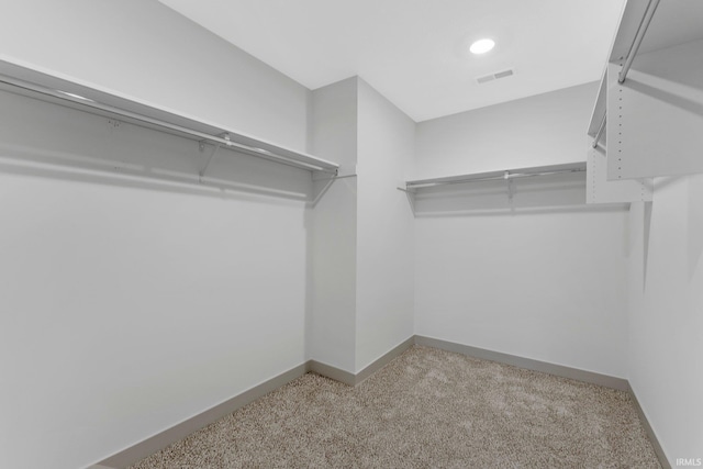 spacious closet with light carpet