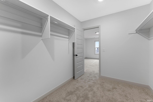 walk in closet featuring light colored carpet