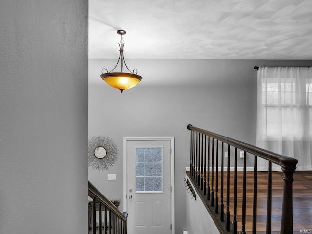 staircase with wood-type flooring