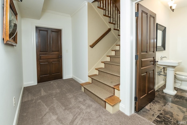 foyer entrance featuring crown molding and dark carpet