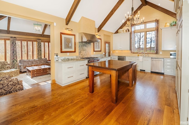 kitchen with plenty of natural light, white cabinetry, stainless steel appliances, and exhaust hood