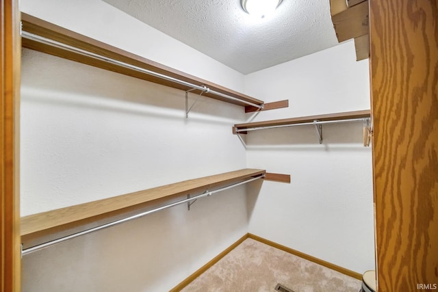 spacious closet with carpet floors