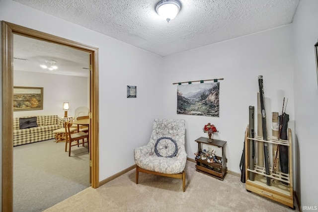 sitting room featuring light carpet and a textured ceiling