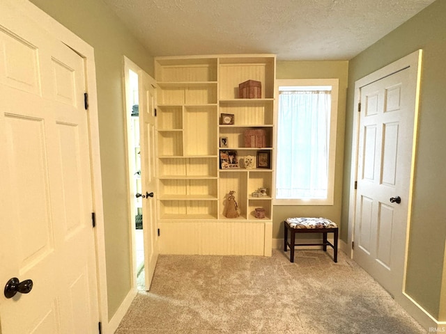 living area with light carpet and a textured ceiling