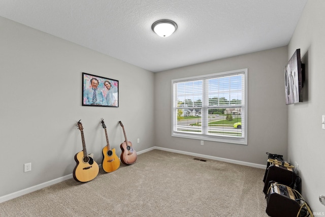 recreation room with carpet and a textured ceiling