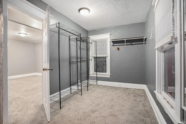 walk in closet featuring carpet floors