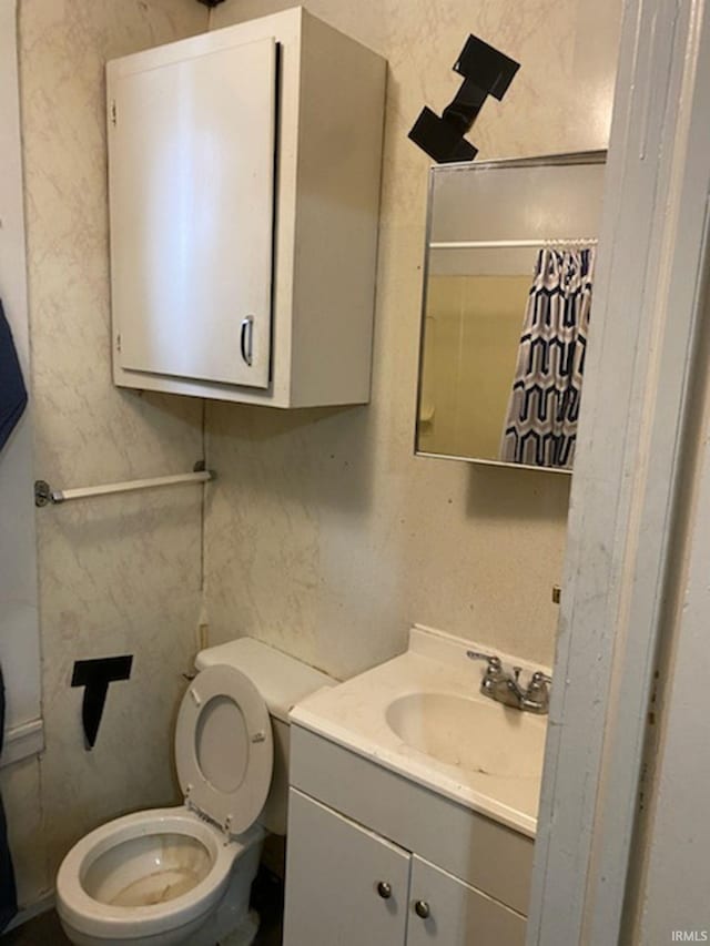 bathroom with toilet and vanity