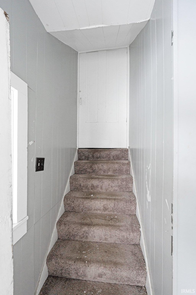 stairway with carpet floors and wooden walls