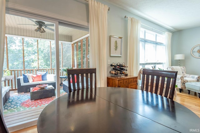 dining area featuring ceiling fan and light hardwood / wood-style flooring