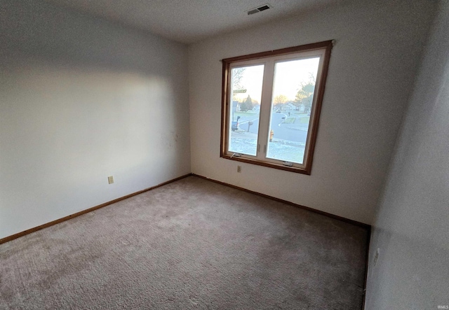 spare room with carpet