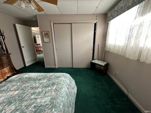 bedroom with ceiling fan, a closet, a drop ceiling, and dark colored carpet