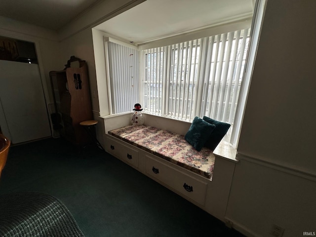 sitting room with dark colored carpet