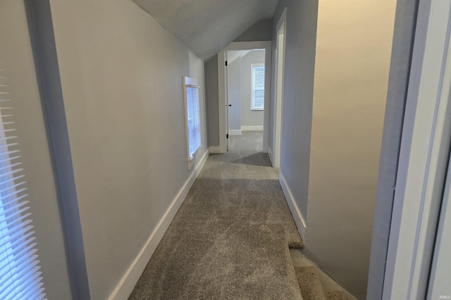 hallway with lofted ceiling and dark colored carpet