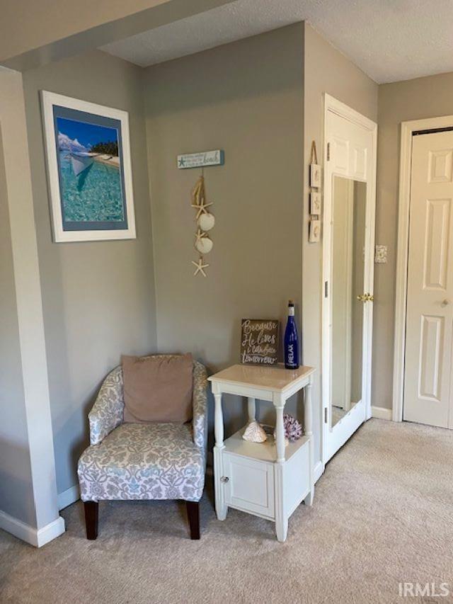 sitting room with a textured ceiling and light colored carpet