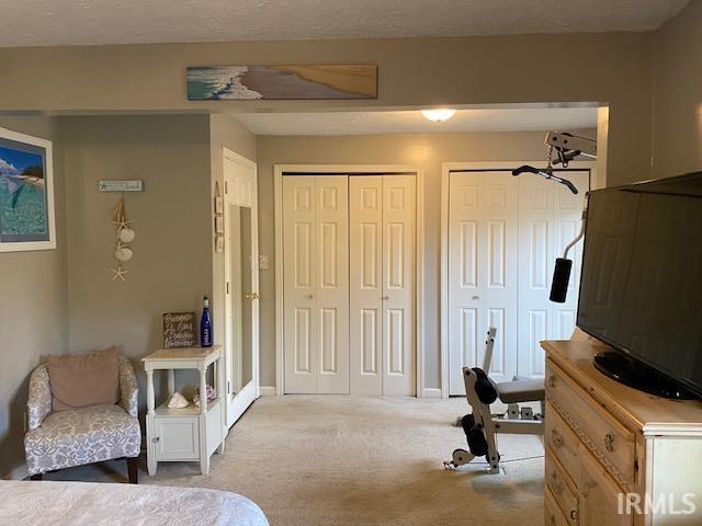 carpeted bedroom with multiple closets