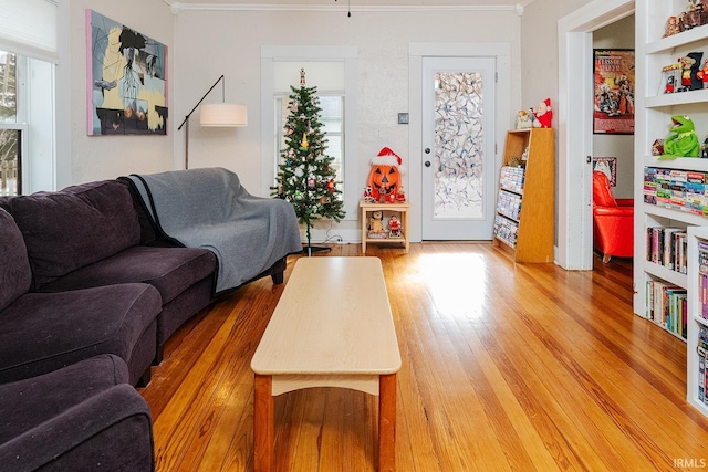 living room featuring wood-type flooring and ornamental molding