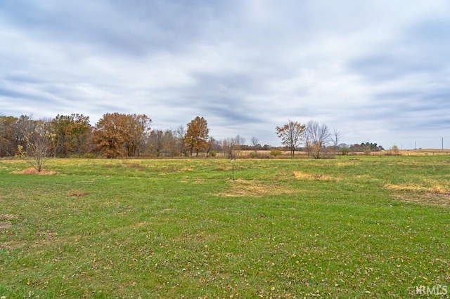 view of yard with a rural view