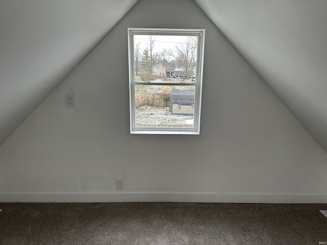 additional living space with carpet floors and vaulted ceiling