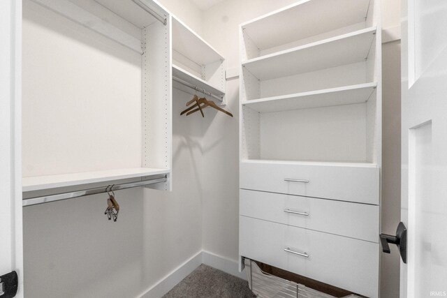 view of spacious closet