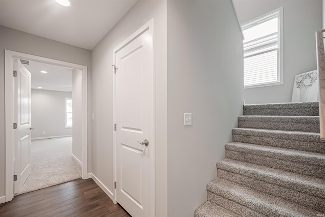 stairway with wood-type flooring