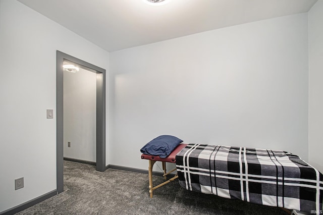 bedroom featuring carpet floors