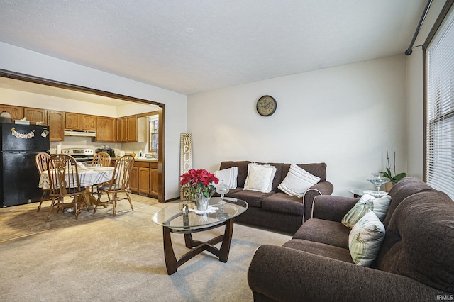 carpeted living room with a textured ceiling