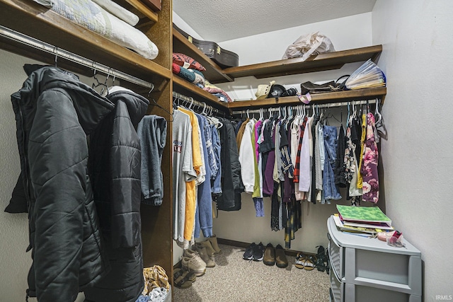 spacious closet with carpet