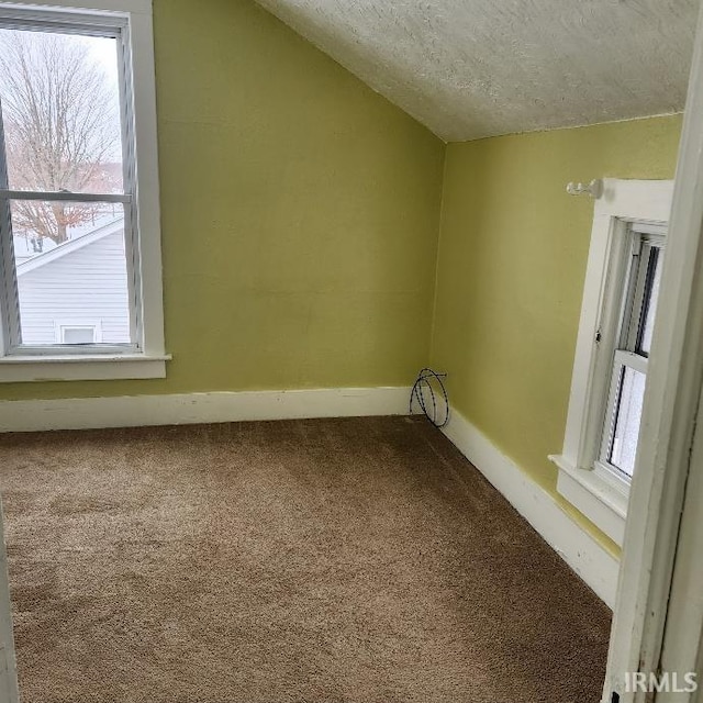 additional living space with carpet flooring, a textured ceiling, and vaulted ceiling