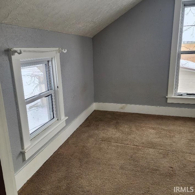 additional living space with carpet flooring, a textured ceiling, and vaulted ceiling