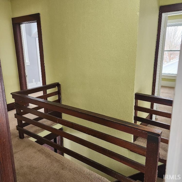 staircase featuring carpet