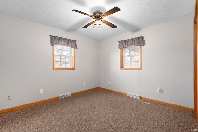 spare room featuring a textured ceiling, carpet floors, and a healthy amount of sunlight