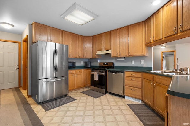 kitchen featuring appliances with stainless steel finishes and sink